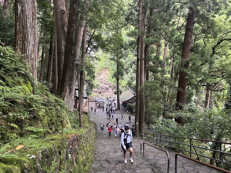 熊 野 古 道 最 終 回 ( 熊 野 三 山 巡 禮 )