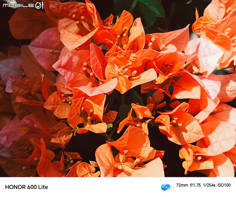 點我看大圖 HONOR 600 Lite|主打人像、輕薄機身與 AI 鍵,實拍體驗一次看