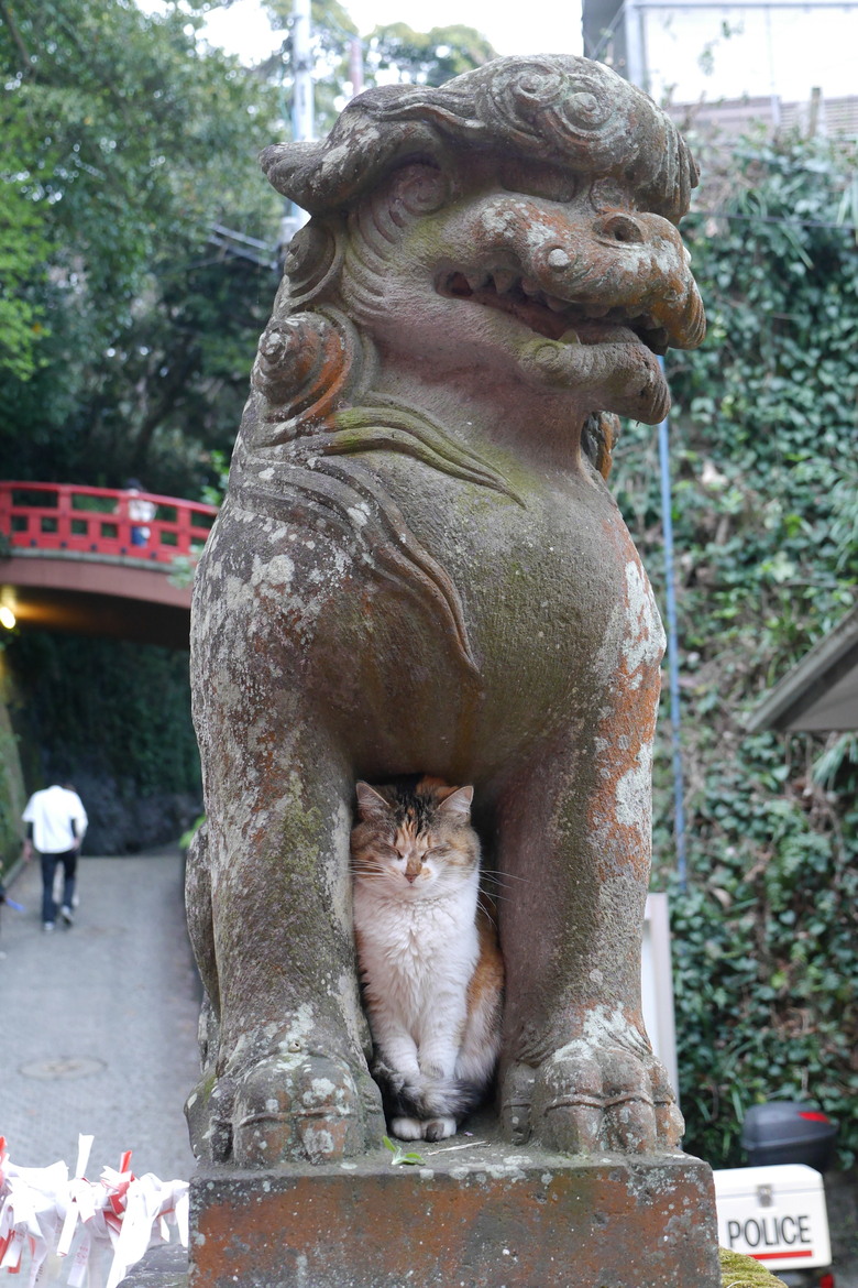 神奈川縣旅遊 江之島