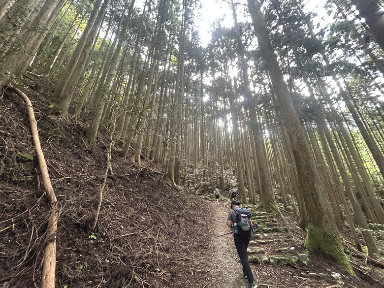 完 走 和 歌 山 熊 野 古 道 朝 聖 之 旅 ( 第 二 天 )