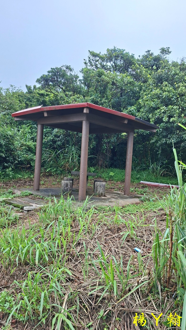 【郊山走走】青山瀑布整修後重新開放！來趟放鬆身心、呼吸芬多精、享受清涼森林浴的夏日消暑之旅