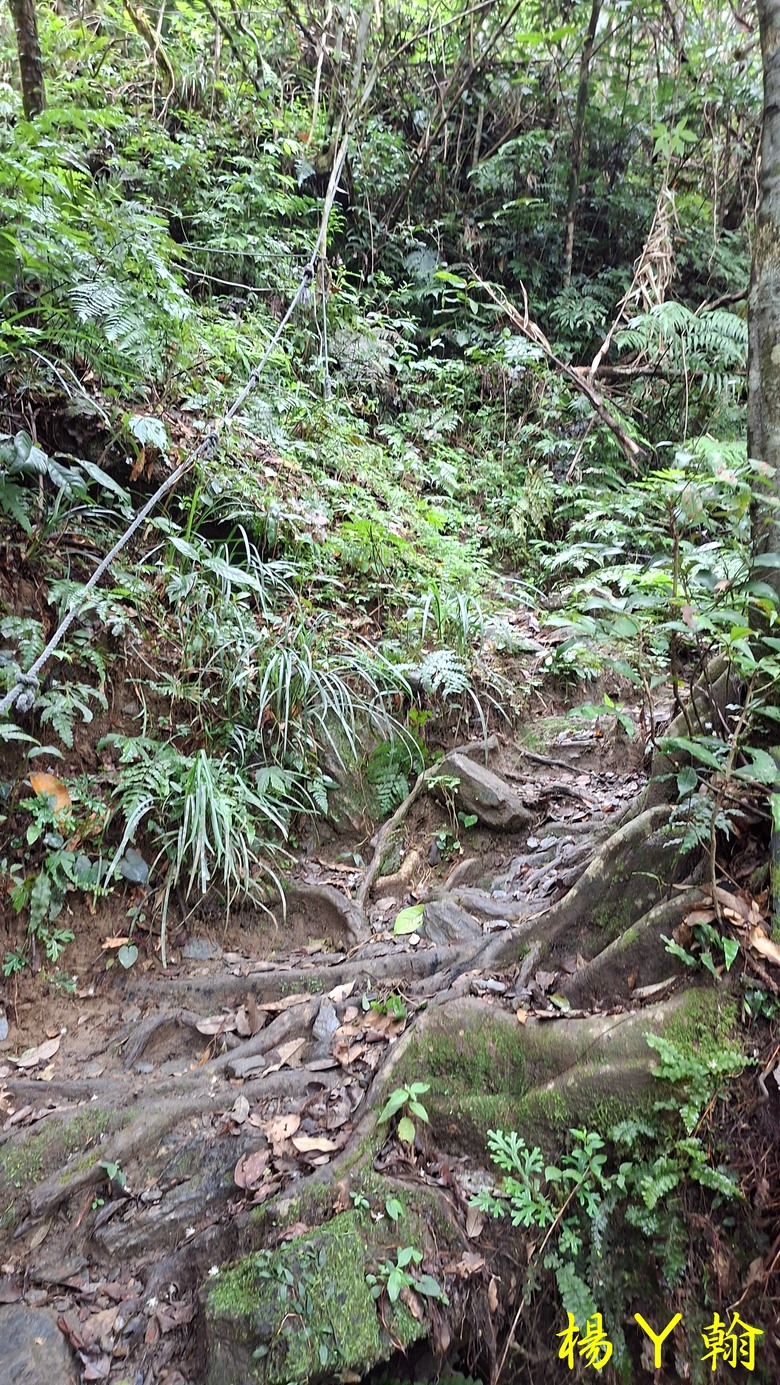 【台灣小百岳】山與海的雙重享受 — 從太平洋，到初音山