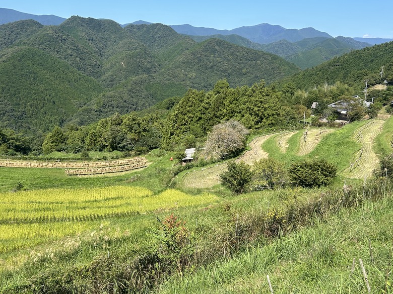 挑 戰 和 歌 山 熊 野 古 道 朝 聖 之 旅 ( 第 一 天 )