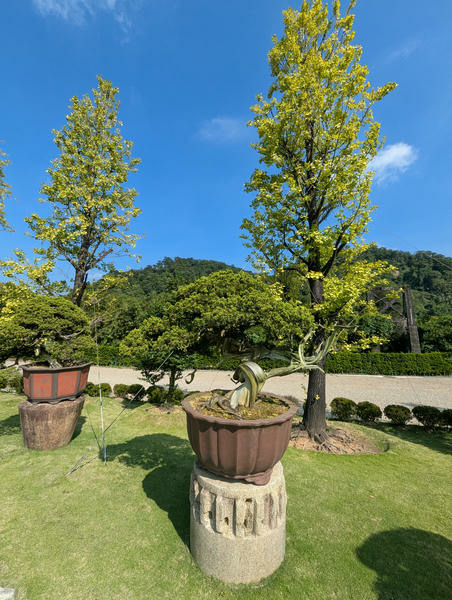【不是遊記】平溪鐵道線上的望古車站、望古瀑布與平溪松苑