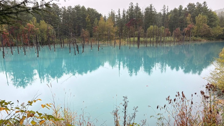 初秋北海道～楓葉、寒意、泡湯與🦌擦身而過11天自駕趣！