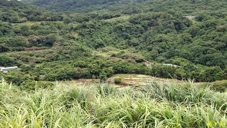 【郊山走走】青山瀑布整修後重新開放！來趟放鬆身心、呼吸芬多精、享受清涼森林浴的夏日消暑之旅