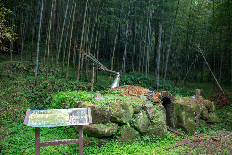 點我看大圖 走進雲嘉交界的秘境:草嶺小天梯、萬年峽谷地質奇景與在地美食的一日散策