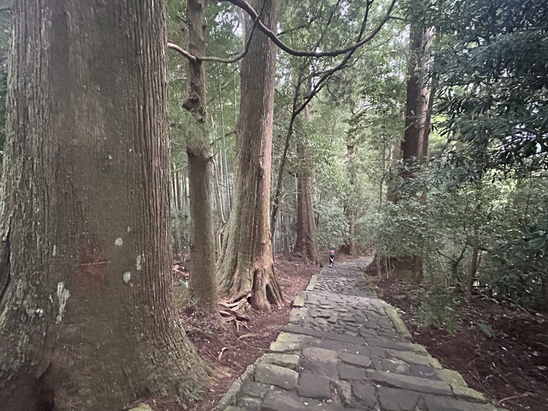熊 野 古 道 最 終 回 ( 熊 野 三 山 巡 禮 )