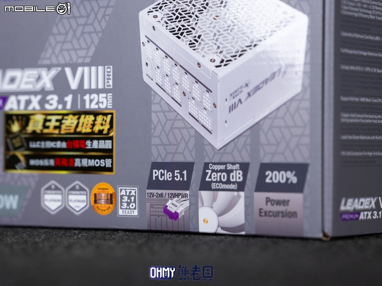 旗艦第八代！振華 LEADEX VIII PLATINUM PRO PREMIUM & 過電流保護轉接線