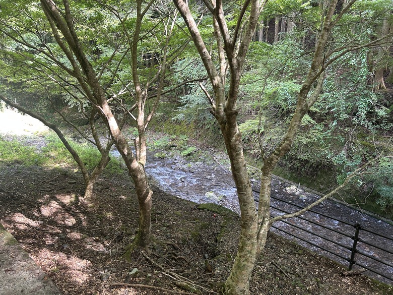 完 走 和 歌 山 熊 野 古 道 朝 聖 之 旅 ( 第 二 天 )