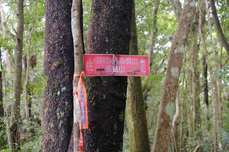 點我看大圖 【外鳥嘴山】蒐集台灣四座名為「鳥嘴山」的主要山峰| 蓮包山一日 O 型縱走