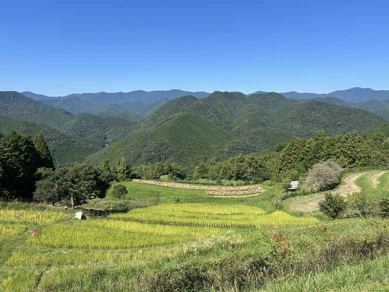 挑 戰 和 歌 山 熊 野 古 道 朝 聖 之 旅 ( 第 一 天 )