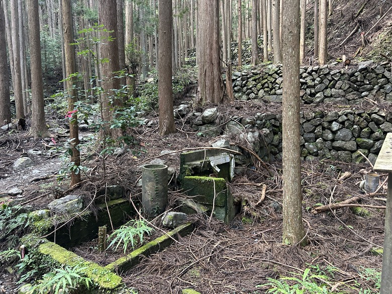 完 走 和 歌 山 熊 野 古 道 朝 聖 之 旅 ( 第 二 天 )