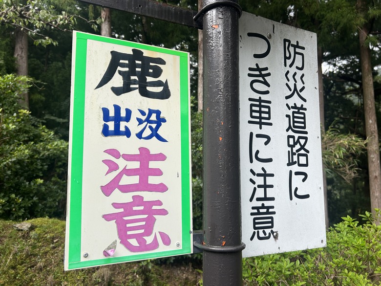 熊 野 古 道 最 終 回 ( 熊 野 三 山 巡 禮 )