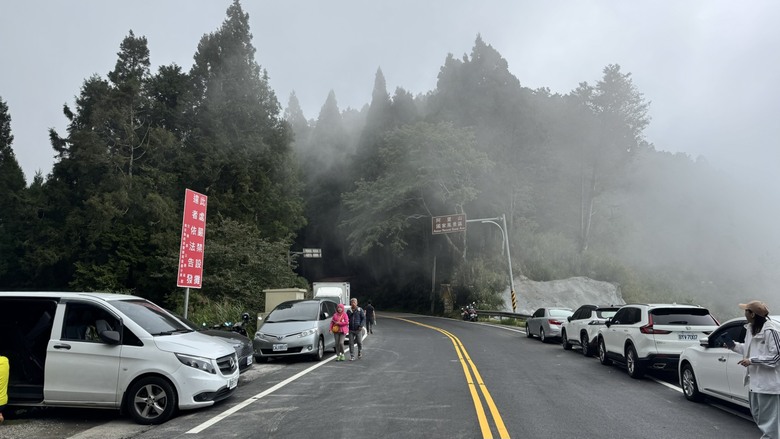 【特富野古道最新實況】新手、老手都可以來參考！自忠&rarr;3.7K實際走一趟🥾🌲
