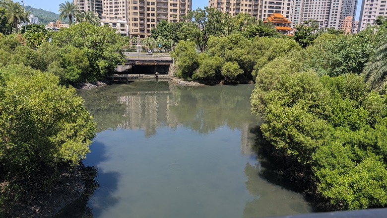 小遊高雄中都唐榮磚窯廠&濕地公園