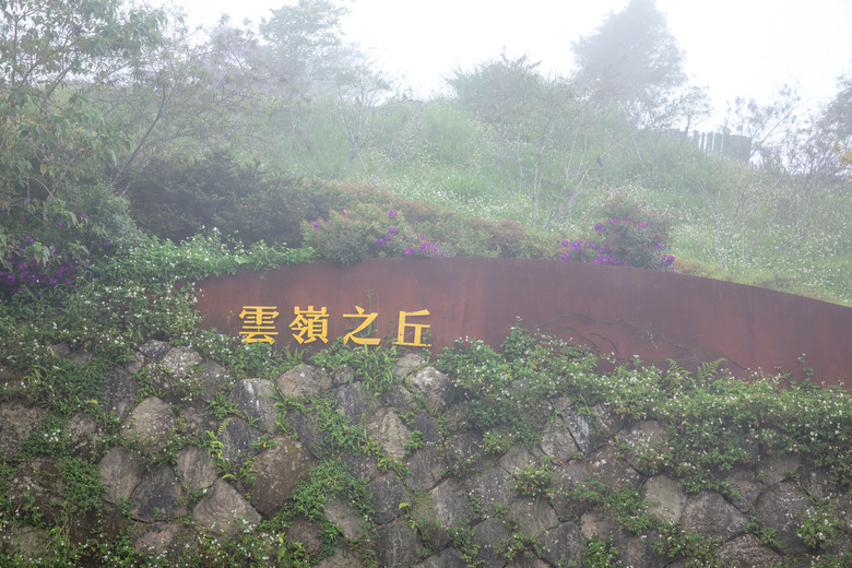 點我看大圖 走進雲嘉交界的秘境:草嶺小天梯、萬年峽谷地質奇景與在地美食的一日散策