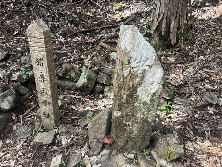 完 走 和 歌 山 熊 野 古 道 朝 聖 之 旅 ( 第 二 天 )