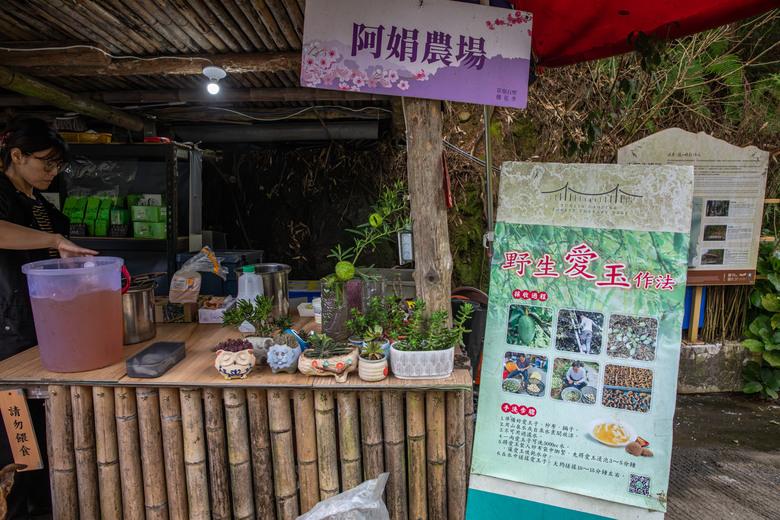 點我看大圖 走進雲嘉交界的秘境:草嶺小天梯、萬年峽谷地質奇景與在地美食的一日散策