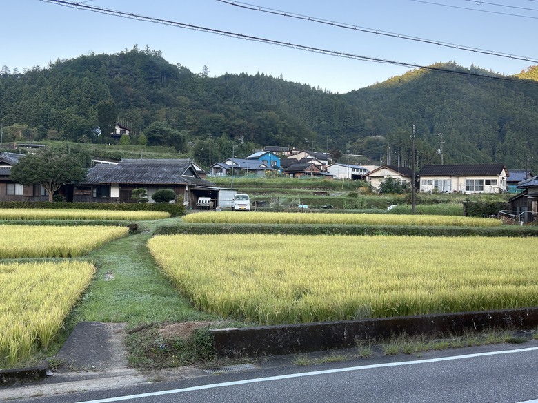 完 走 和 歌 山 熊 野 古 道 朝 聖 之 旅 ( 第 二 天 )