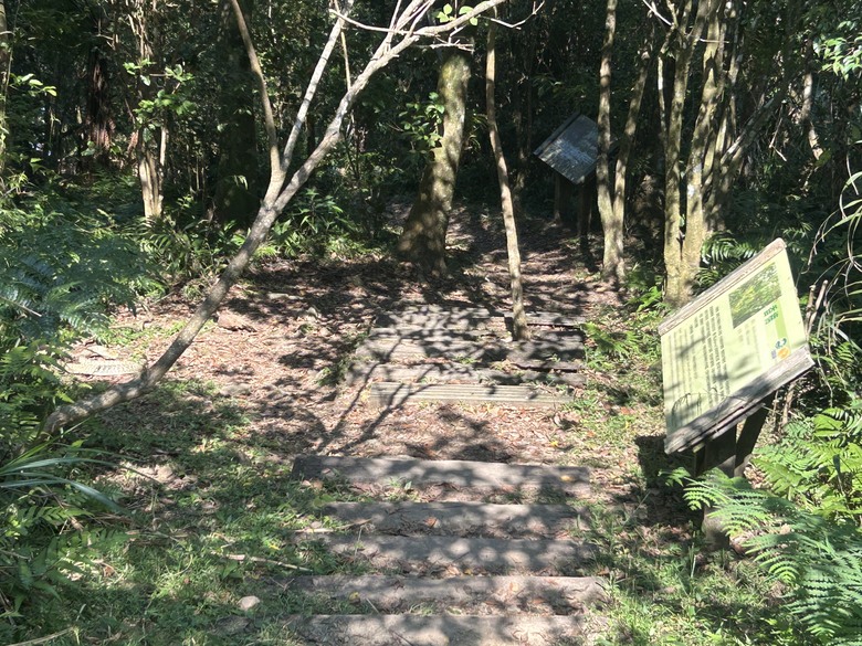 爬山遇到曬太陽的大蛇