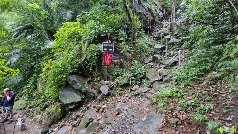 【郊山走走】青山瀑布整修後重新開放！來趟放鬆身心、呼吸芬多精、享受清涼森林浴的夏日消暑之旅