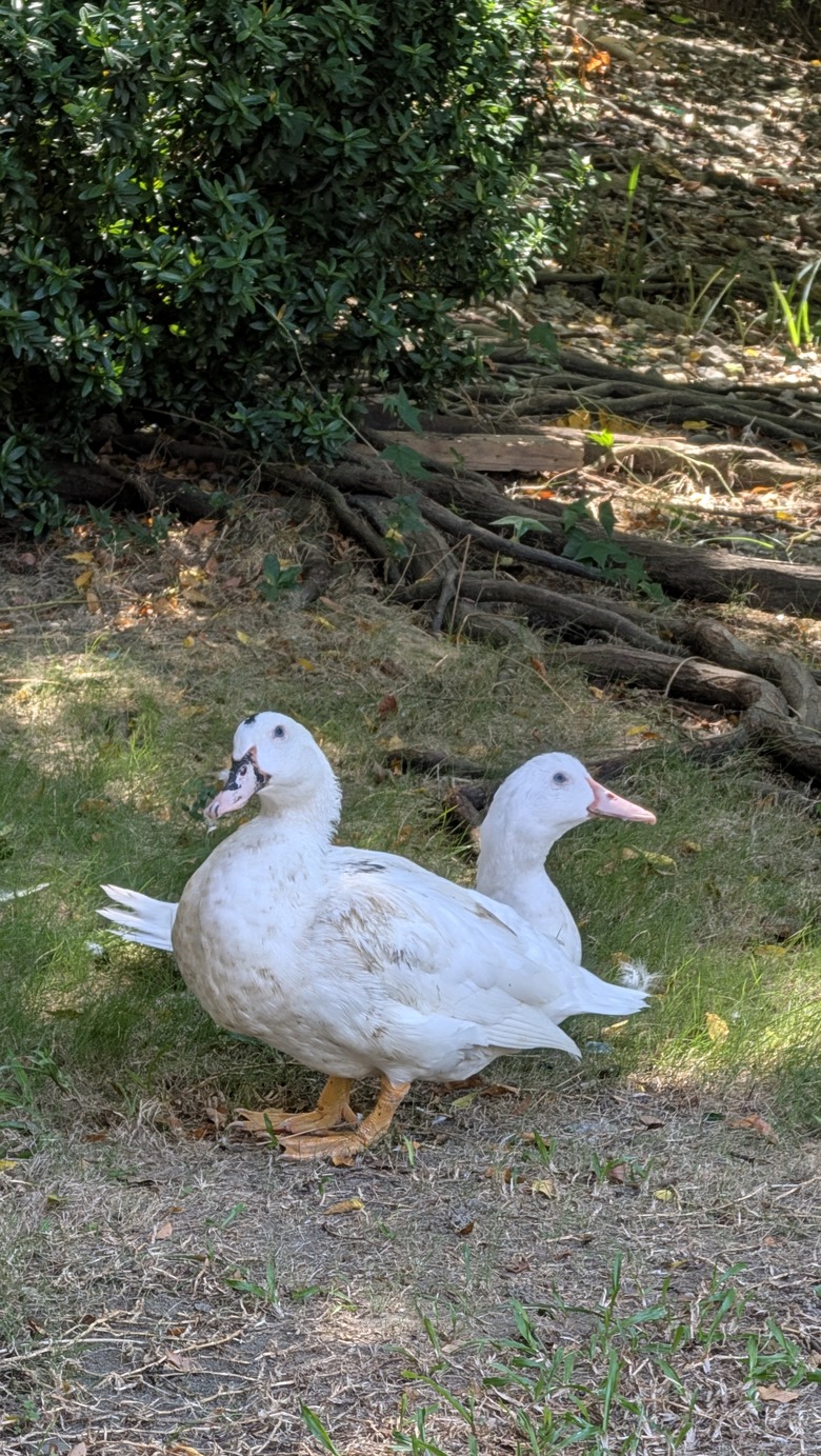 小遊高雄中都唐榮磚窯廠&濕地公園