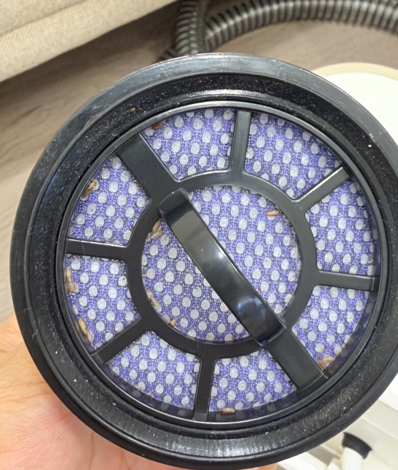 海爾織物清洗機開箱，用不到半年的沙發竟然這麼髒