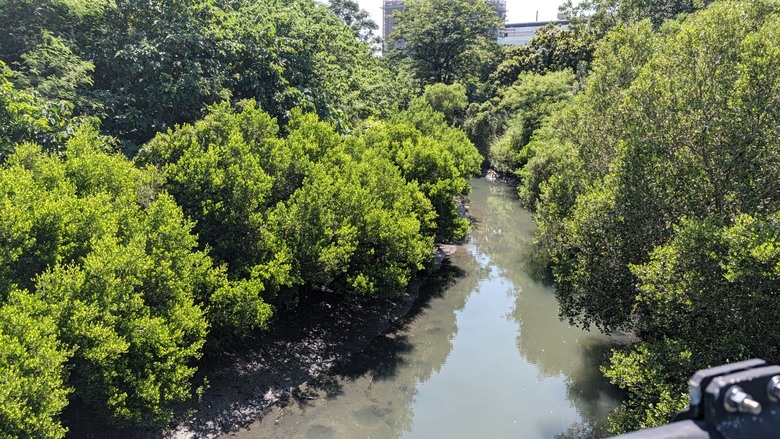 小遊高雄中都唐榮磚窯廠&濕地公園