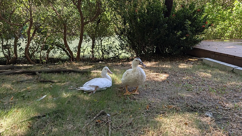 小遊高雄中都唐榮磚窯廠&濕地公園