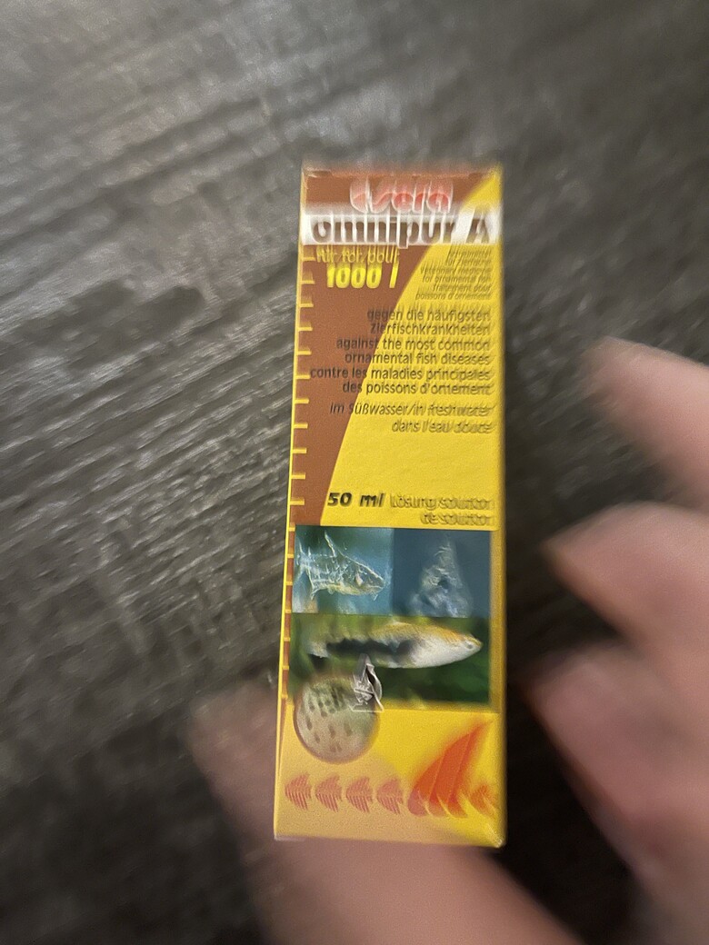 可悲的養愚人