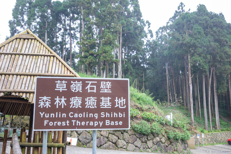 點我看大圖 走進雲嘉交界的秘境:草嶺小天梯、萬年峽谷地質奇景與在地美食的一日散策