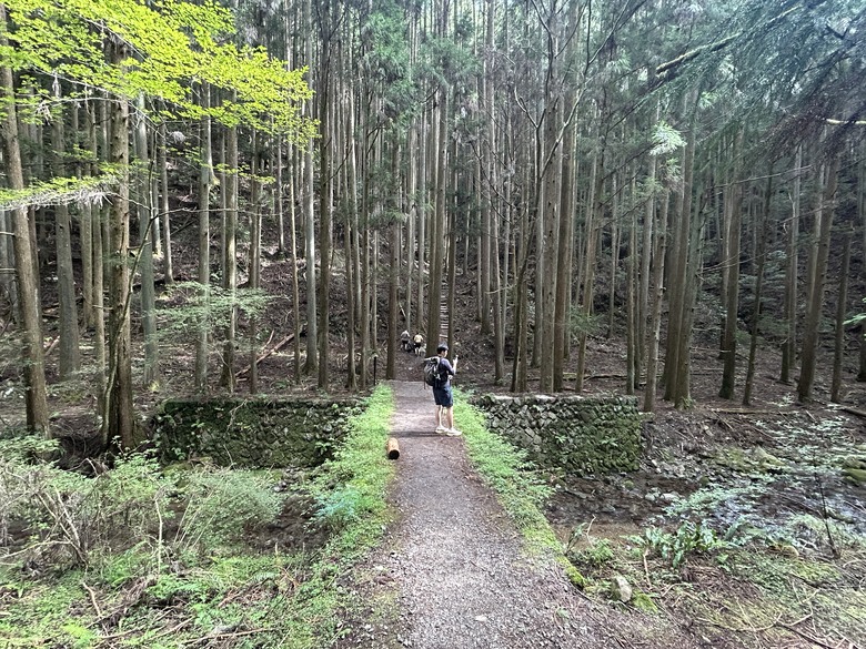 完 走 和 歌 山 熊 野 古 道 朝 聖 之 旅 ( 第 二 天 )