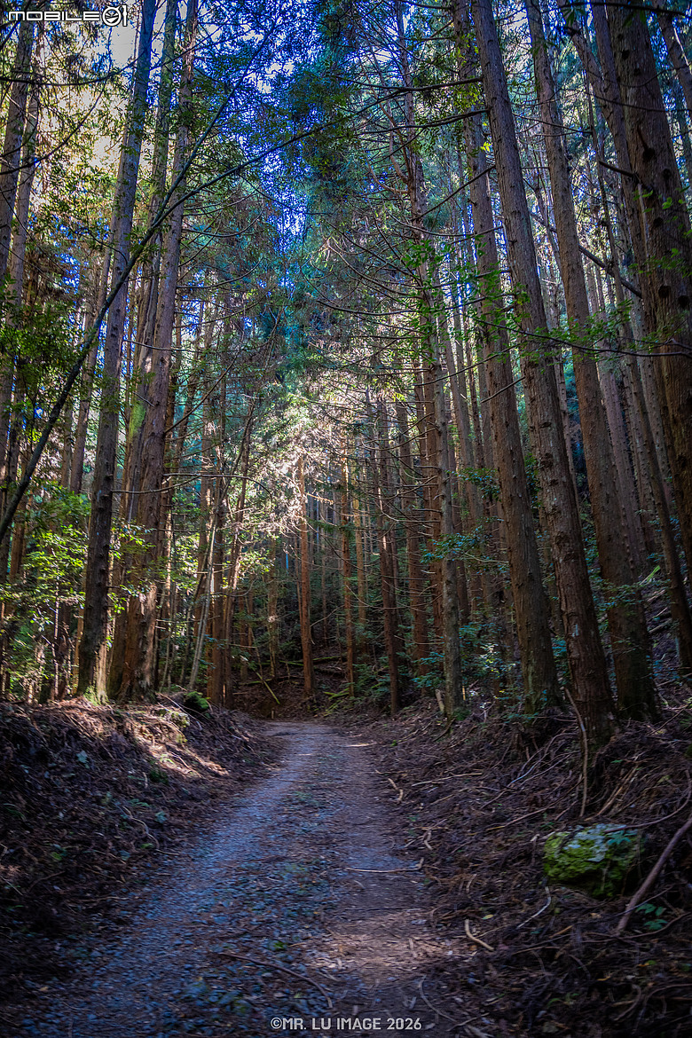 點我看大圖 2026秋分|雪見北坑山,我的回歸山林之路 x 野戰口糧C開箱