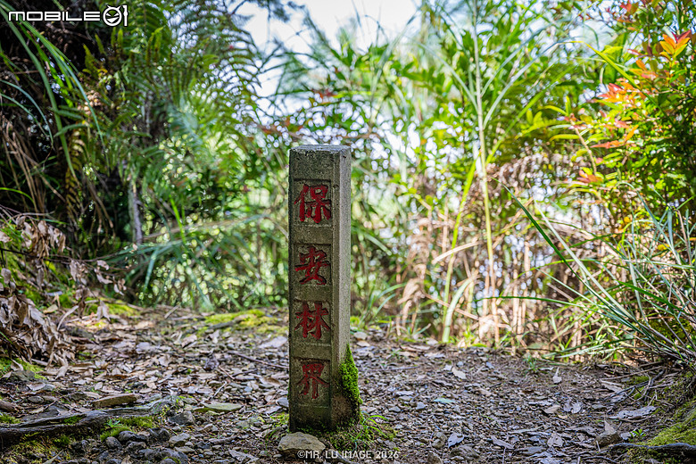 點我看大圖 2026秋分|雪見北坑山,我的回歸山林之路 x 野戰口糧C開箱