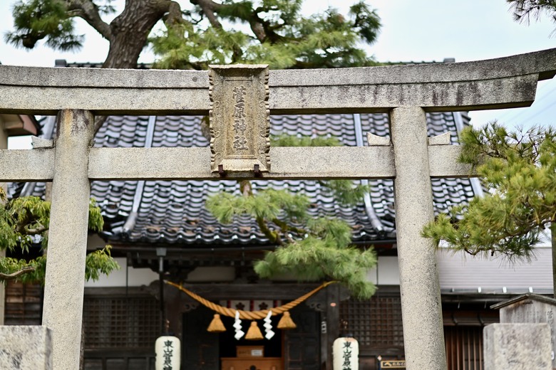 日本🇯🇵中部地方春之旅2-金澤美術館、茶屋街、兼六園