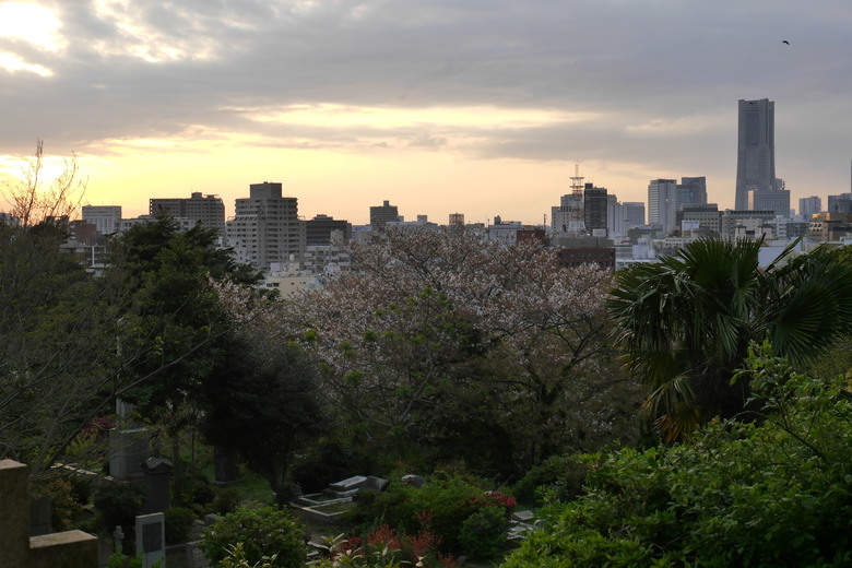 神奈川縣旅遊紀錄 橫濱