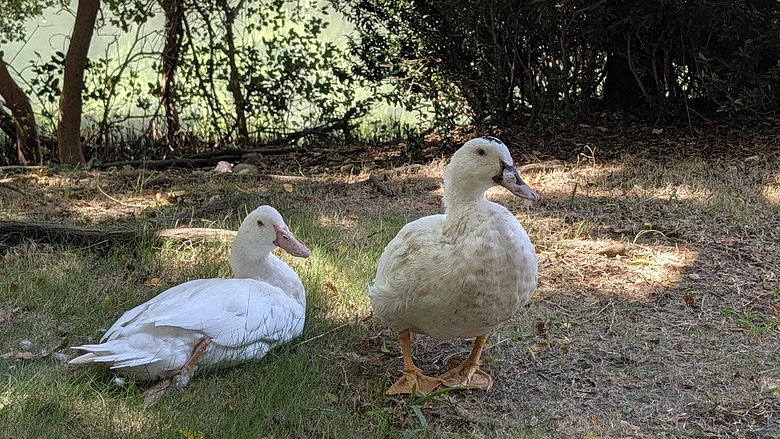 小遊高雄中都唐榮磚窯廠&濕地公園