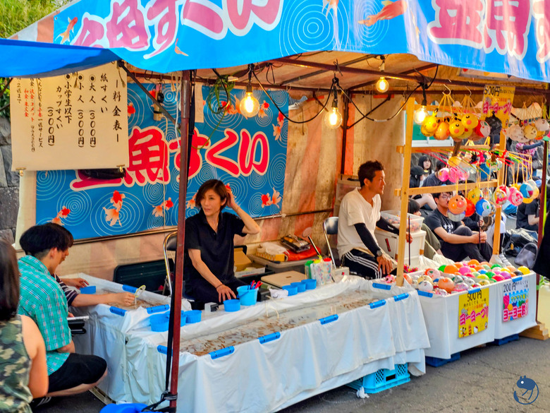 日本-小樽|*小樽的夏日也很好玩* 小樽總鎮守 住吉神社 例大祭