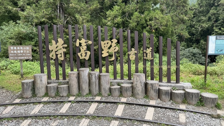 【特富野古道最新實況】新手、老手都可以來參考！自忠&rarr;3.7K實際走一趟🥾🌲