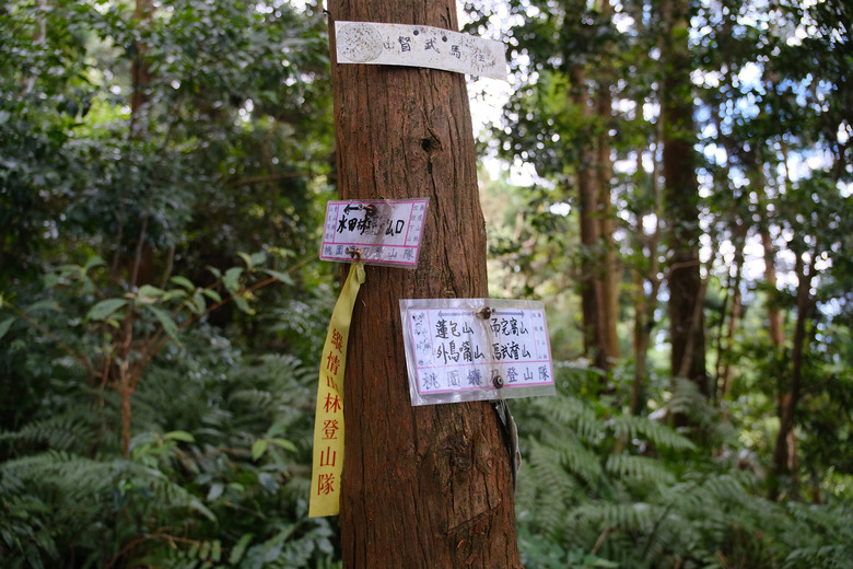 點我看大圖 【外鳥嘴山】蒐集台灣四座名為「鳥嘴山」的主要山峰| 蓮包山一日 O 型縱走