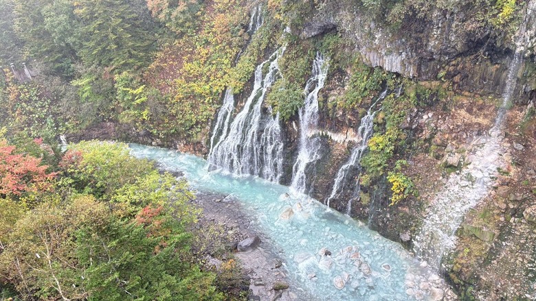 初秋北海道～楓葉、寒意、泡湯與🦌擦身而過11天自駕趣！