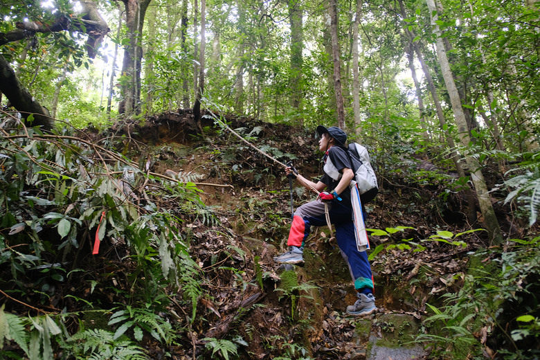 點我看大圖 【外鳥嘴山】蒐集台灣四座名為「鳥嘴山」的主要山峰| 蓮包山一日 O 型縱走