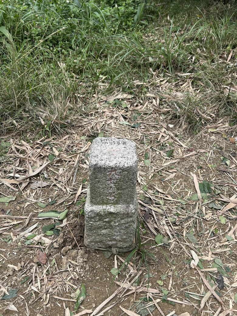 迴鶯鶯迴走三回,大棟山連稜屬台北天際線第八段大部分,十餘年來山遊記
