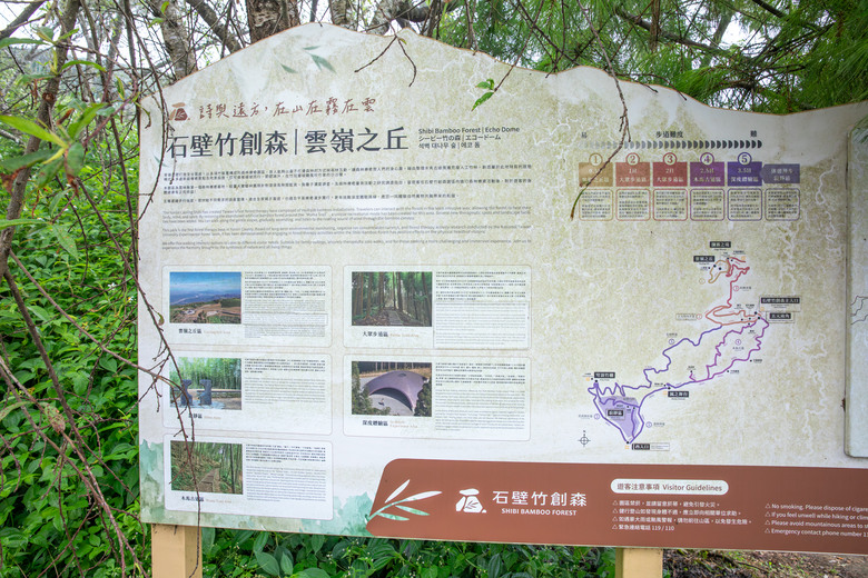 點我看大圖 走進雲嘉交界的秘境:草嶺小天梯、萬年峽谷地質奇景與在地美食的一日散策
