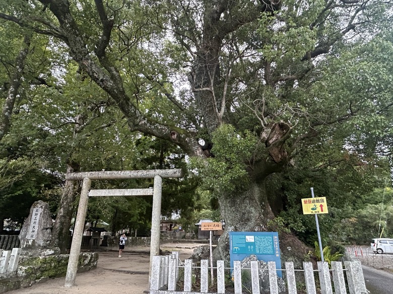 熊 野 古 道 最 終 回 ( 熊 野 三 山 巡 禮 )