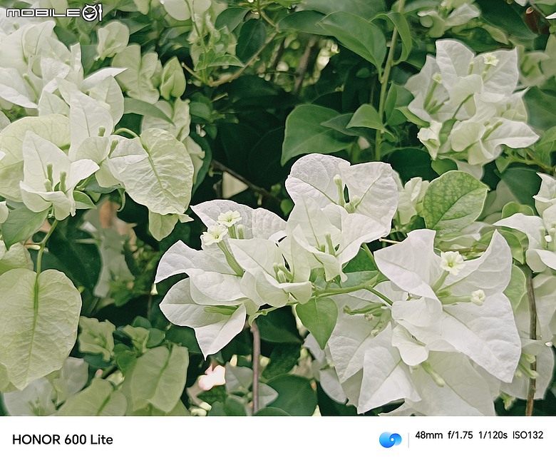 點我看大圖 HONOR 600 Lite|主打人像、輕薄機身與 AI 鍵,實拍體驗一次看