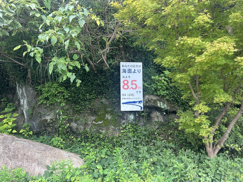 熊 野 古 道 最 終 回 ( 熊 野 三 山 巡 禮 )