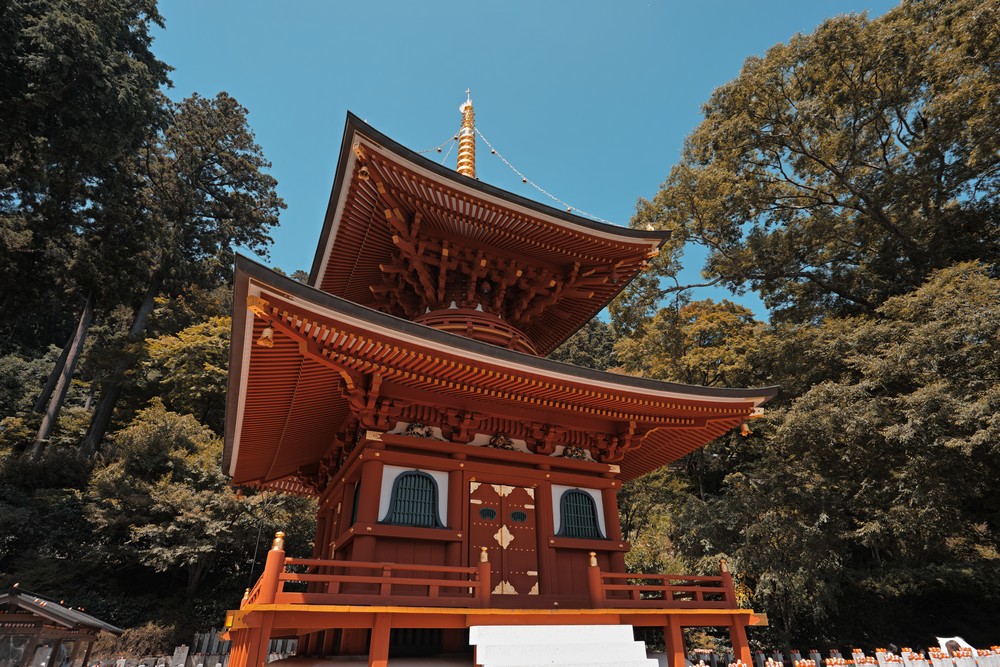 Sigma FP 2026 大阪小記錄