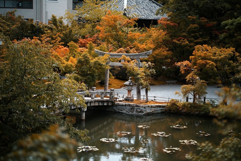 Sigma FP 2026 大阪小記錄